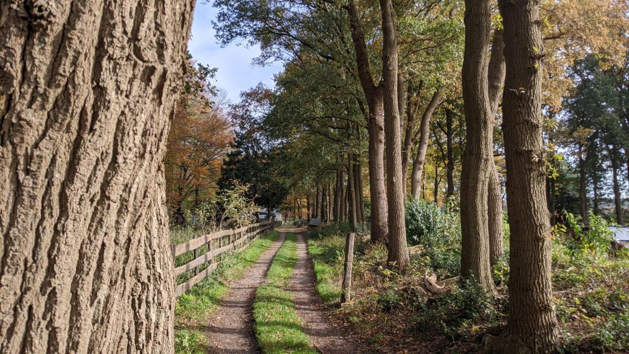 Chalet Op De Veluwe # Eiken Putten Exterior foto